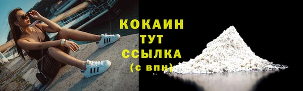 тгк Володарск
