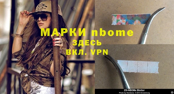 тгк Володарск