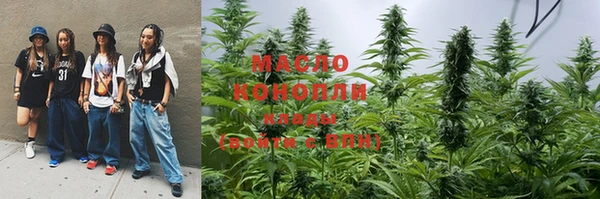 дживик Верхний Тагил