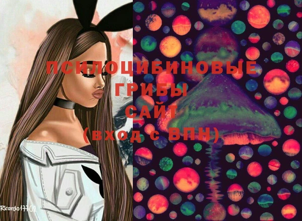 дживик Верхний Тагил
