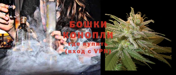 дживик Верхний Тагил