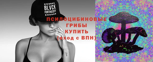 тгк Володарск