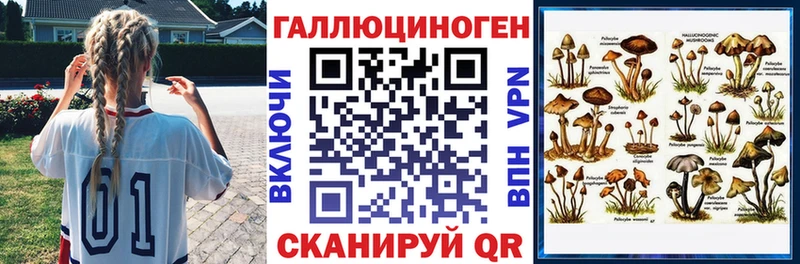 купить   Карабаново  Псилоцибиновые грибы MAGIC MUSHROOMS 